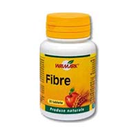 Fibre