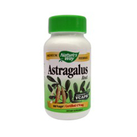 Astragalus Root
