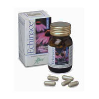 Echinacea
