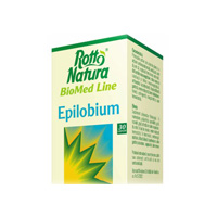 Epilobium