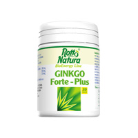 Ginkgo Forte Plus
