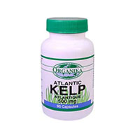 Kelp Atlantic