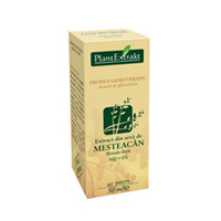 Extract din seva de mesteacan