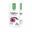 Tinctura De Echinacea 50ml, Santo Raphael