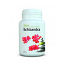 Schizandra 60 cpr, Alevia