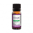 Ulei Esential De Lavanda 10ml, Santo Raphael