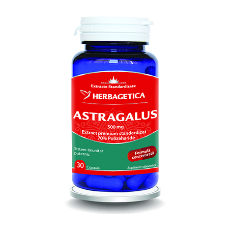 Astragalus 500 mg 30 cps, Herbagetica 