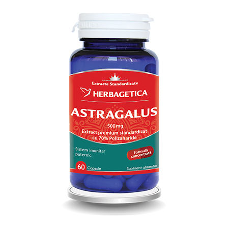 Astragalus 500 mg 60 cps, Herbagetica