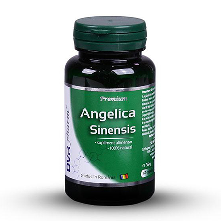 Angelica Sinensis 60 cps, DVR Pharm