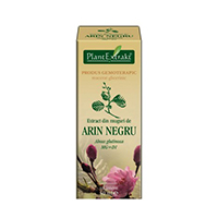 Extract din muguri de arin negru 50ml, Plantextrakt