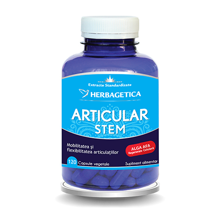 Articular Stem 120 cps, Herbagetica