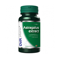 Astragalus extract 60 cps