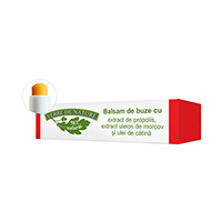 Balsam de buze cu extract de propolis, extract uleios de morcov si ulei de catina 4.8g, Manicos