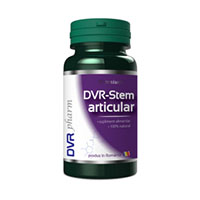 DVR-Stem Articular 60 cps