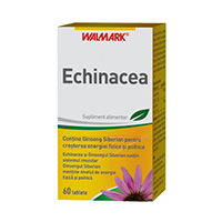 Echinacea 60 tb