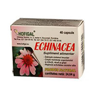 Echinacea Extract Concentrat 40 cps, Hofigal