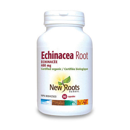 Echinacea root forte 400 mg 90 cps, New Roots