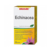 Echinacea 30 tb