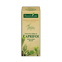 Extract din mladite de Caprifoi Negru 50ml, Plantextrakt