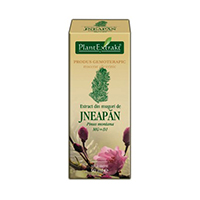 Extract din muguri de jneapan 50ml Plantextrakt