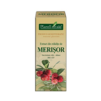 Extract din mladite de merisor 50ml, Plantextrakt