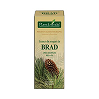 Extract din muguri de brad 50ml