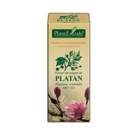 Extract din muguri de platan 50ml, Plantextrakt