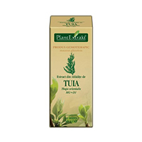 Extract din mladite de tuia 50ml, Plantextrakt