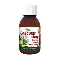 Gascure sirop 100 ml, Ayurmed