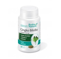 Ginkgo Biloba Extract 90 cps, Rotta Natura 