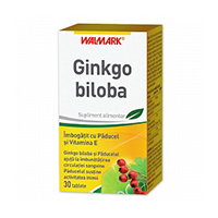 Ginkgo biloba 40 mg 30 tb