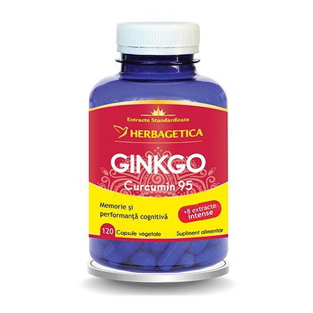 Ginkgo Curcumin95 120 cps 