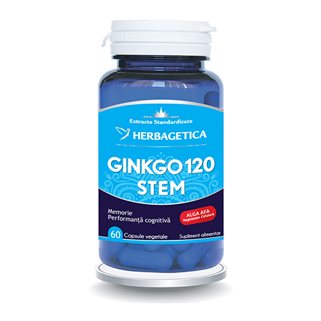 Ginkgo 120 Stem 60 cps 