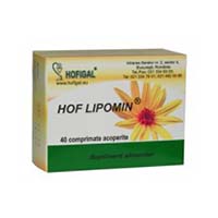 Hof Lipomin 40 cpr, Hofigal