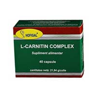 L-Carnitin complex 40 cps, Hofigal