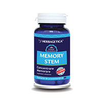 Memory Stem 60 cps 