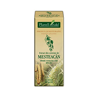 Extract din seminte de mesteacan 50ml, Plantextrakt