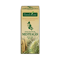 Extract din seva de mesteacan 50ml, Plantextrakt