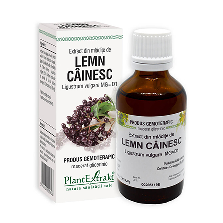 Extract din mladite de Lemn Cainesc 50ml, Plantextrakt