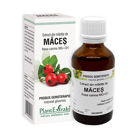 Extract din mladite de Maces 50ml, Plantextrakt