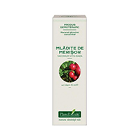 Extract concentrat din mladite de merisor 15ml, Plantextrakt 