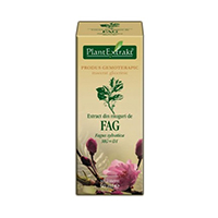 Extract din muguri de fag 50ml, Plantextrakt