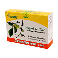 Muguri de ulm - Gemoderivat 30 monodoze, Hofigal