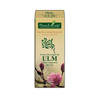 Extract din muguri de ulm 50ml, Plantextrakt