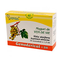 Muguri de vita de vie - Gemoderivat 30 monodoze, Hofigal