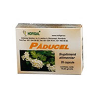 Paducel 40 cpr, Hofigal