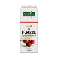 Tinctura de paducel 50ml, Plantextrakt