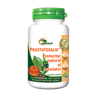 Prostatosalm 100 tbl, Ayurmed
