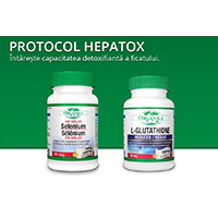 Protocol Hepatox