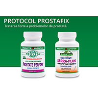 Protocol Prostafix 
